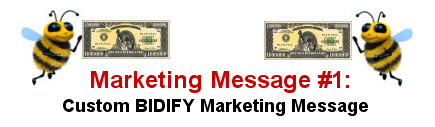 Bidify-Marketing-Message-Image.jpg
