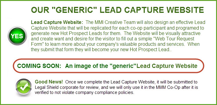 LS-MMM-CoOp-lead-capture-website-info-graphic.jpg